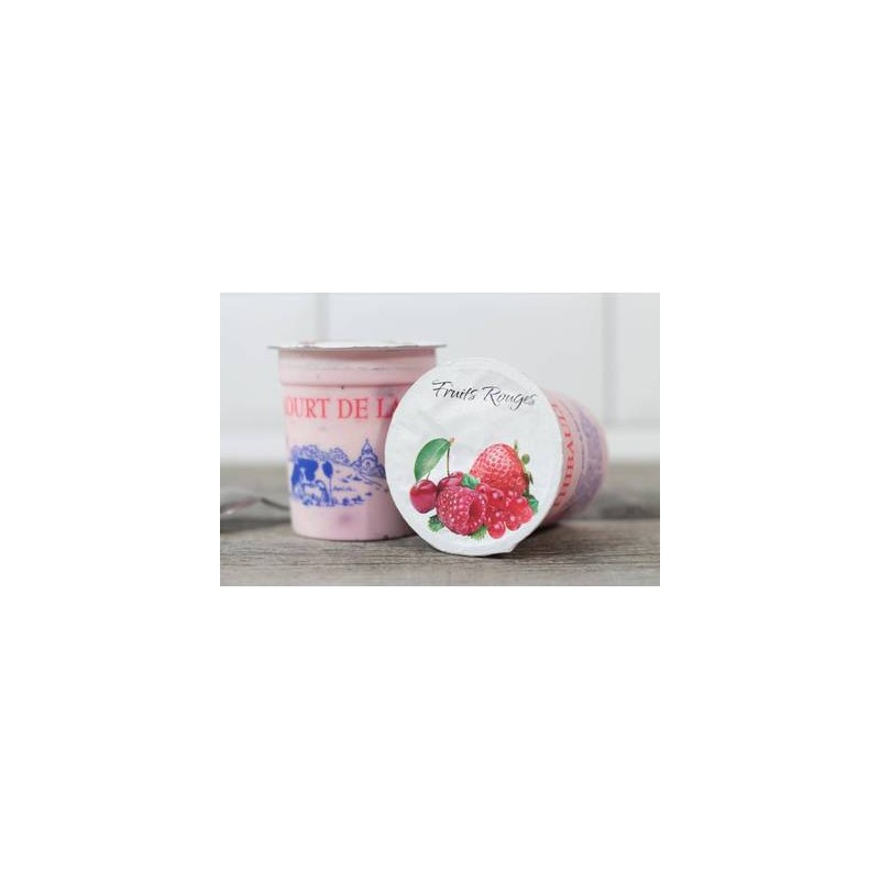 Yaourt fruits rouges (StThib) 12,5cL