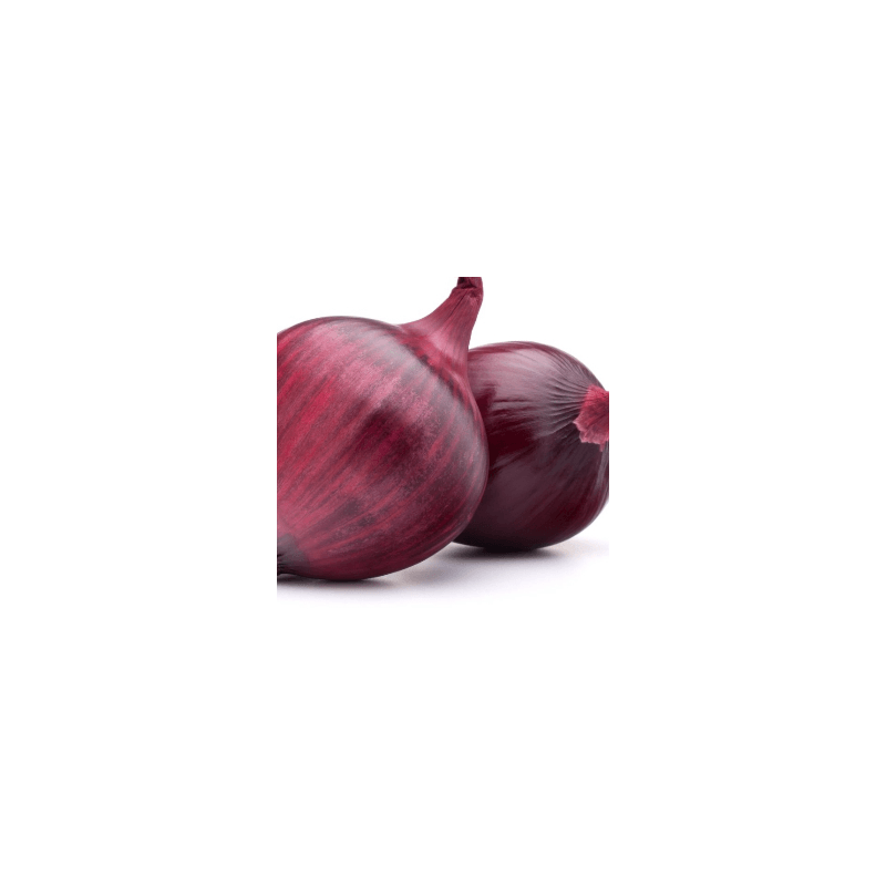 Oignons rouges (FBrie) /kg