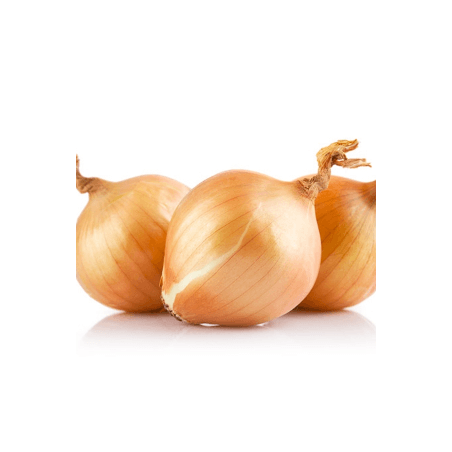 Oignons jaunes (FBrie) /kg