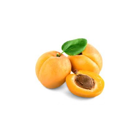 Abricots (Dynamis) /kg