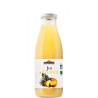 Jus ananas (Dynamis) 75cL