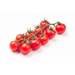 Tomates cocktail grappes (Dynamis) /kg
