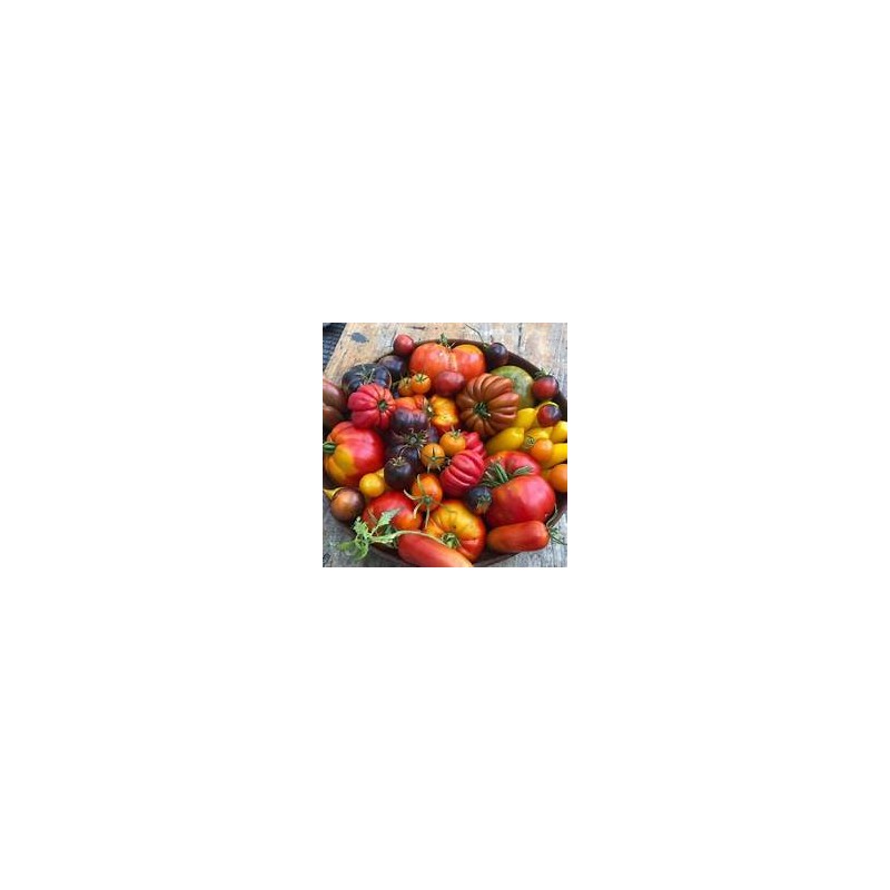 Tomates mixtes (HanSO) /kg